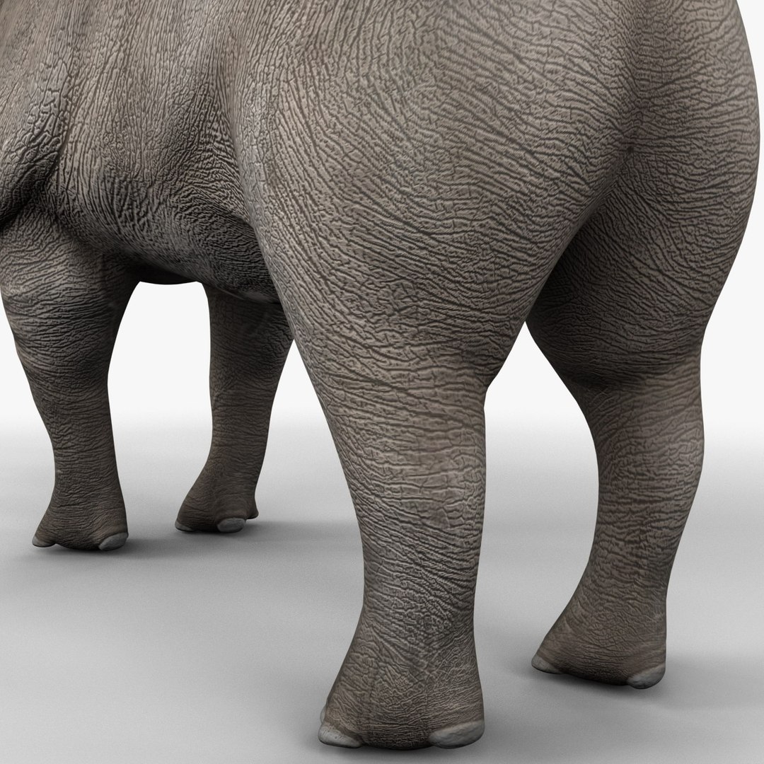 brontotherium 3ds https://p.turbosquid.com/ts-thumb/5j/PSEuxx/guXTVrjC/brontotherium_159/jpg/1374671505/1920x1080/fit_q87/0414a32e48c5e11582a25f11255c6ff70f137b32/brontotherium_159.jpg