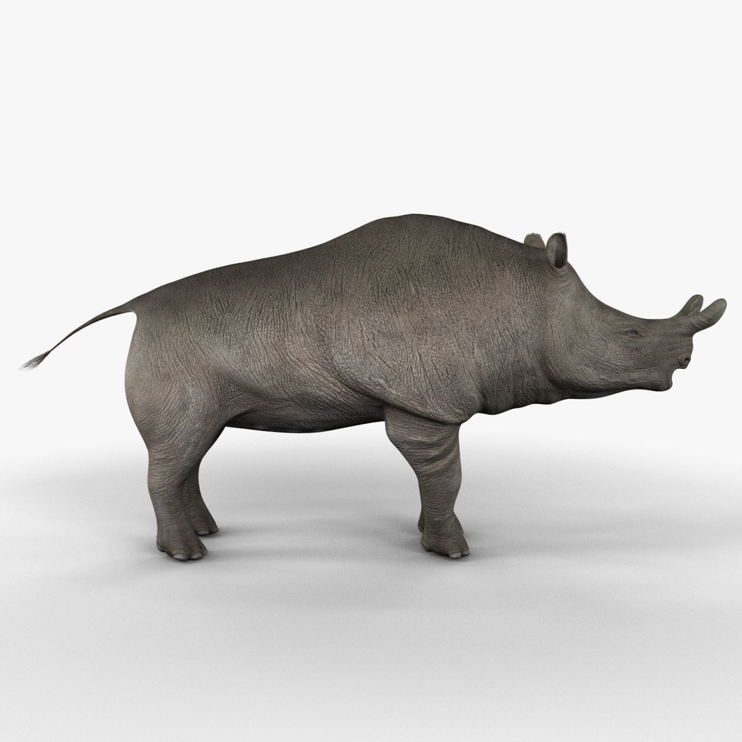 brontotherium 3ds https://p.turbosquid.com/ts-thumb/5j/PSEuxx/vTJ60645/brontotherium_153/jpg/1374671446/1920x1080/fit_q87/0a36407185d965f52b310da1c1fa49825ea74c3a/brontotherium_153.jpg