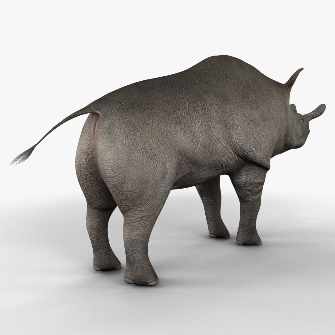 brontotherium 3ds https://p.turbosquid.com/ts-thumb/5j/PSEuxx/xS53zABg/brontotherium_154/jpg/1374671462/1920x1080/fit_q87/bf209e3b9bfc2c5bedc4a8ad5220e4db472c41a4/brontotherium_154.jpg