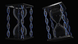 Hourglass DNA 3D model