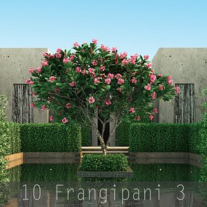 3 flower 10 tree 3d model