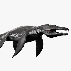 liopleurodon rigged 3d model