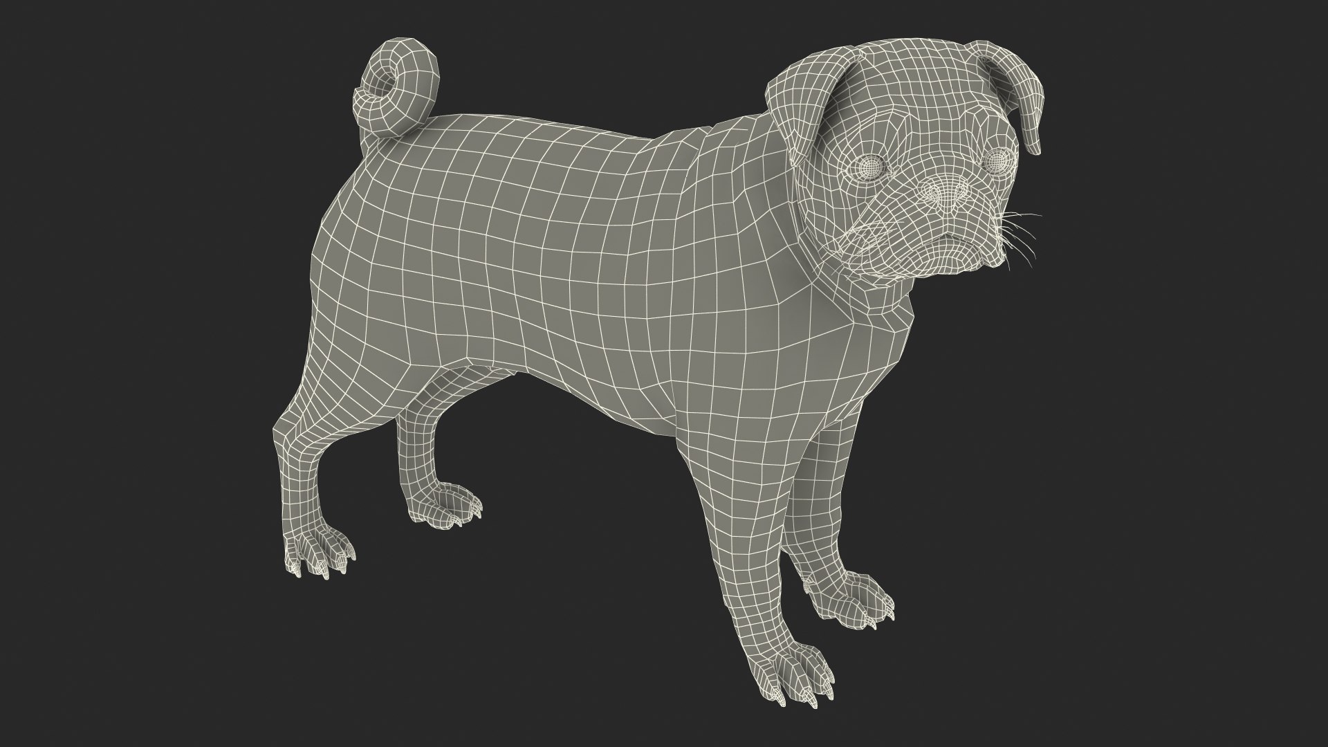 3D model pug dog fur https://p.turbosquid.com/ts-thumb/5j/gETYnl/Ae/pugdogfurc4dmodel022/jpg/1611383288/1920x1080/fit_q87/844e1d7780a84c0c8ed3bdb3fce14e7ca5ec35e9/pugdogfurc4dmodel022.jpg