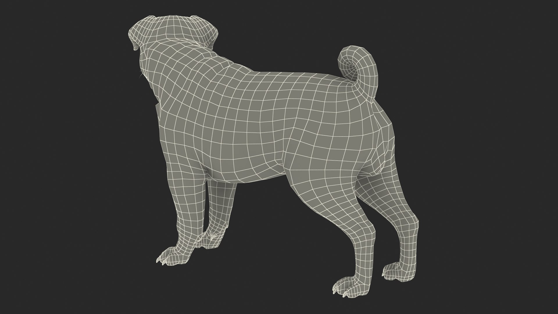 3D model pug dog fur https://p.turbosquid.com/ts-thumb/5j/gETYnl/ex/pugdogfurc4dmodel023/jpg/1611383298/1920x1080/fit_q87/f03905f7c520541ae7040785bacae59e054b816f/pugdogfurc4dmodel023.jpg