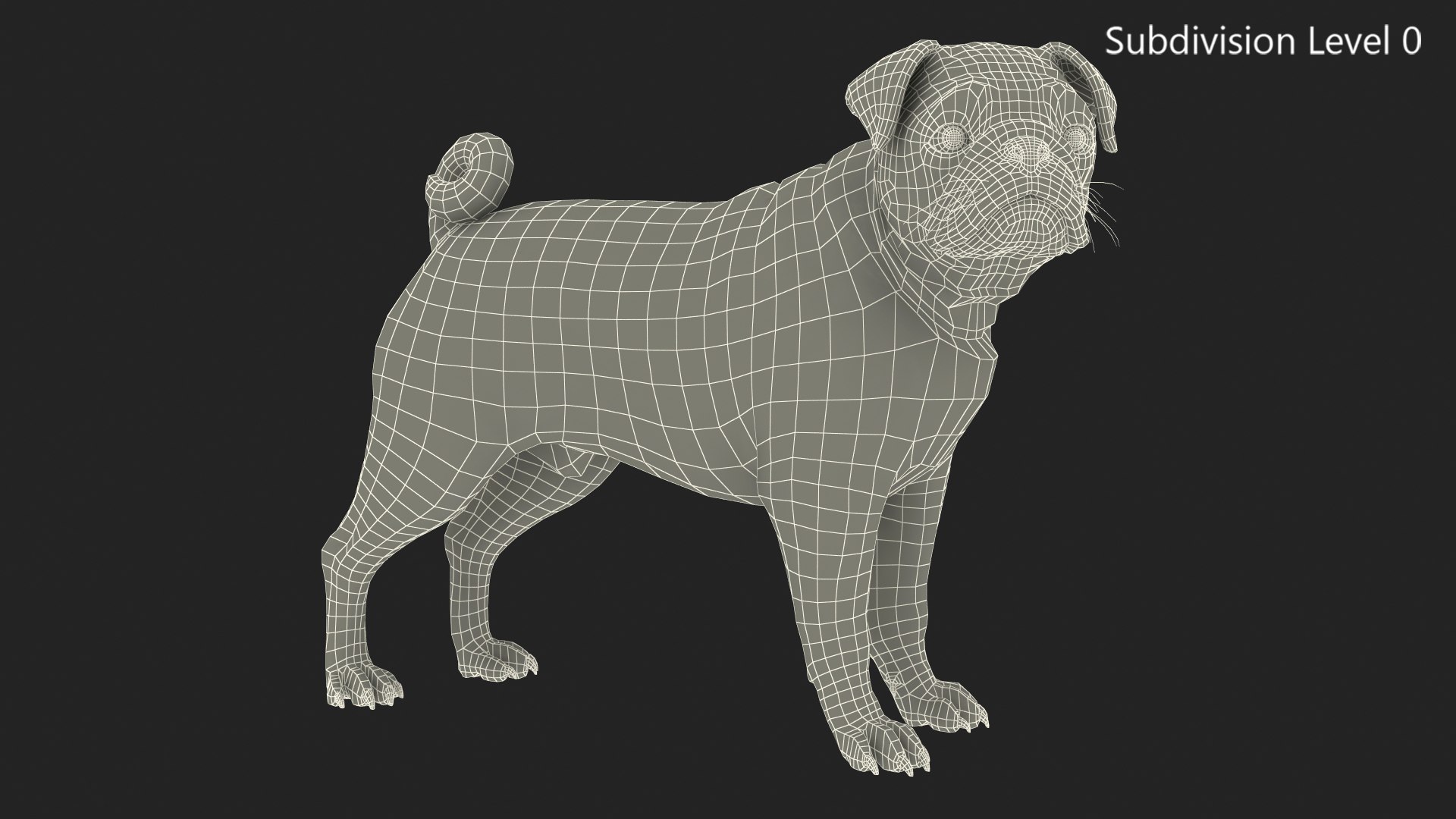 3D model pug dog fur https://p.turbosquid.com/ts-thumb/5j/gETYnl/tm/pugdogfurc4dmodel016/jpg/1611383218/1920x1080/fit_q87/d2bf6a96487a4c7c7890fe964b71728d00e44f25/pugdogfurc4dmodel016.jpg