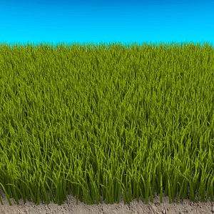 3d model tall grass