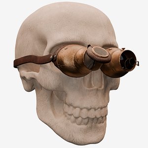 Steampunk Goggles 3D model