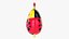 Palloncino foil decorativo 13 Coccinella