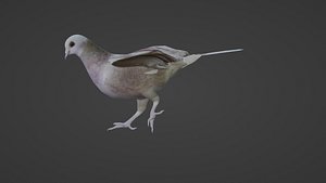 3D Pigeon