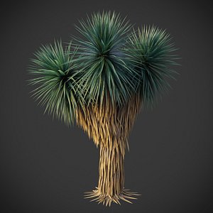 XfrogPlants Blue Yucca - Yucca Rigida 3D model