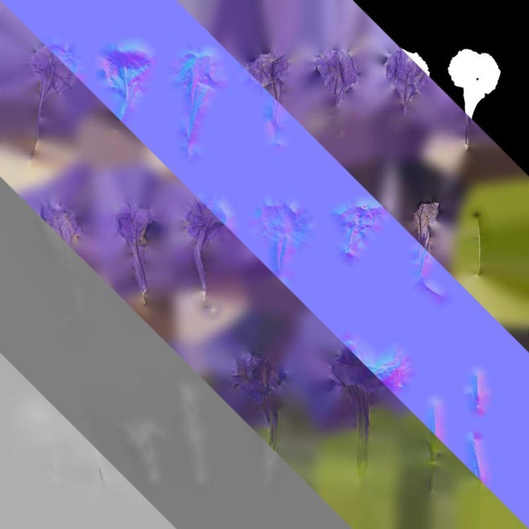 Anydrafts Ruellia Simplex Flower 02 Textures Model - TurboSquid 2358493