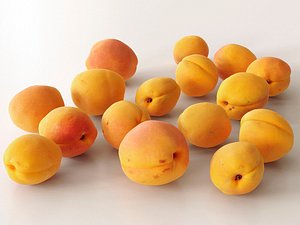 3D apricots model