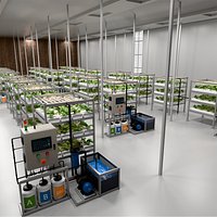 Fully Automated Hydroponic Systems