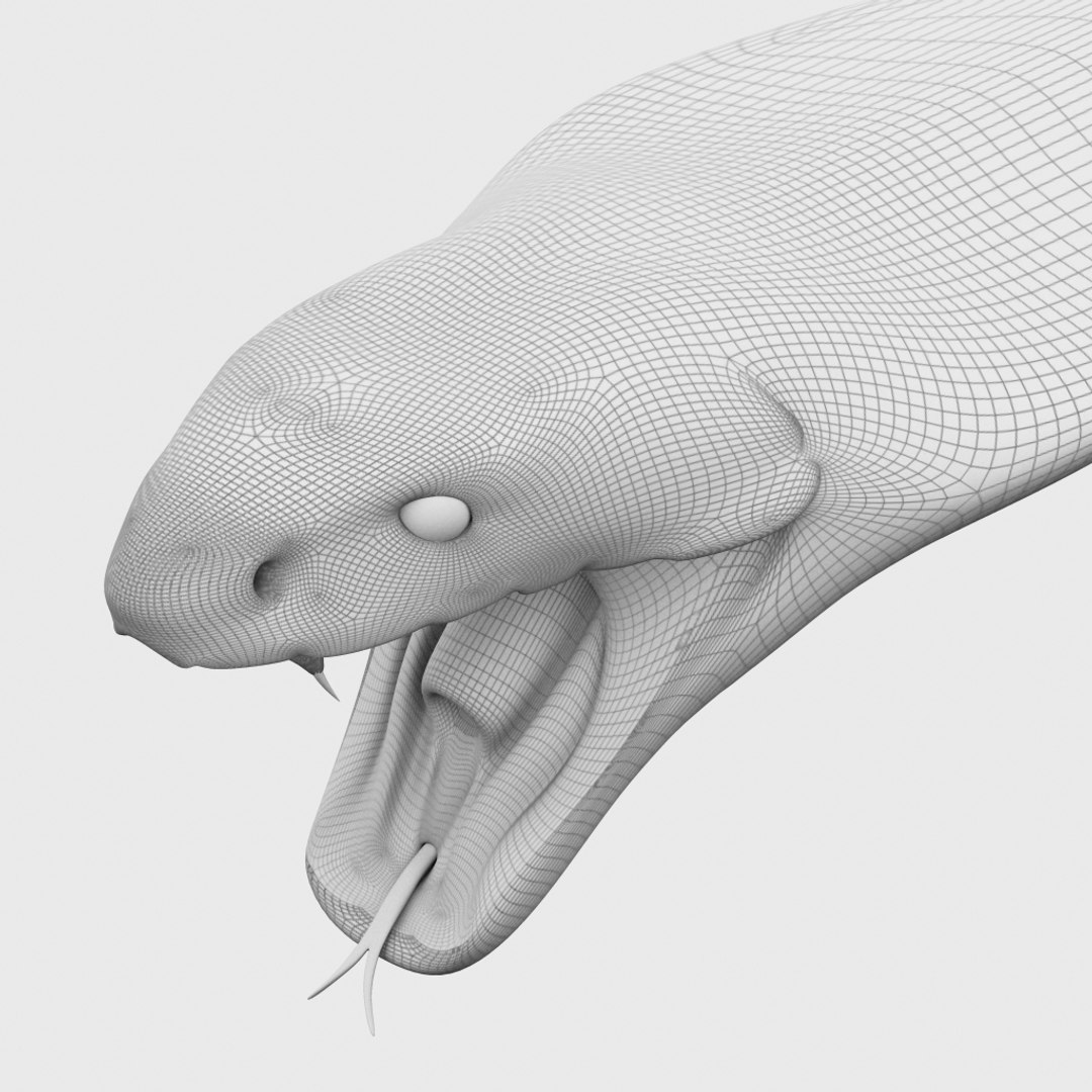 King Cobra Snake Scale 3d Model