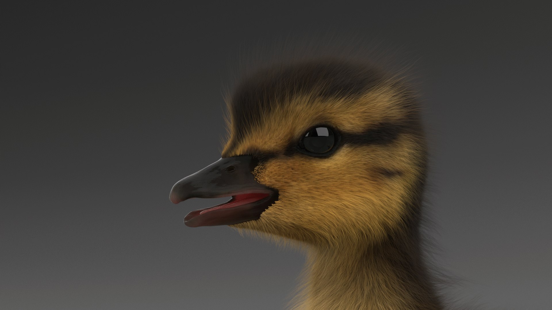 duckling duck 3D model https://p.turbosquid.com/ts-thumb/5k/WyD1Jg/PzpEnVzm/3/png/1579809535/1920x1080/fit_q87/445ab98fb095f9e3619de7f6712631a349d3b07f/3.jpg