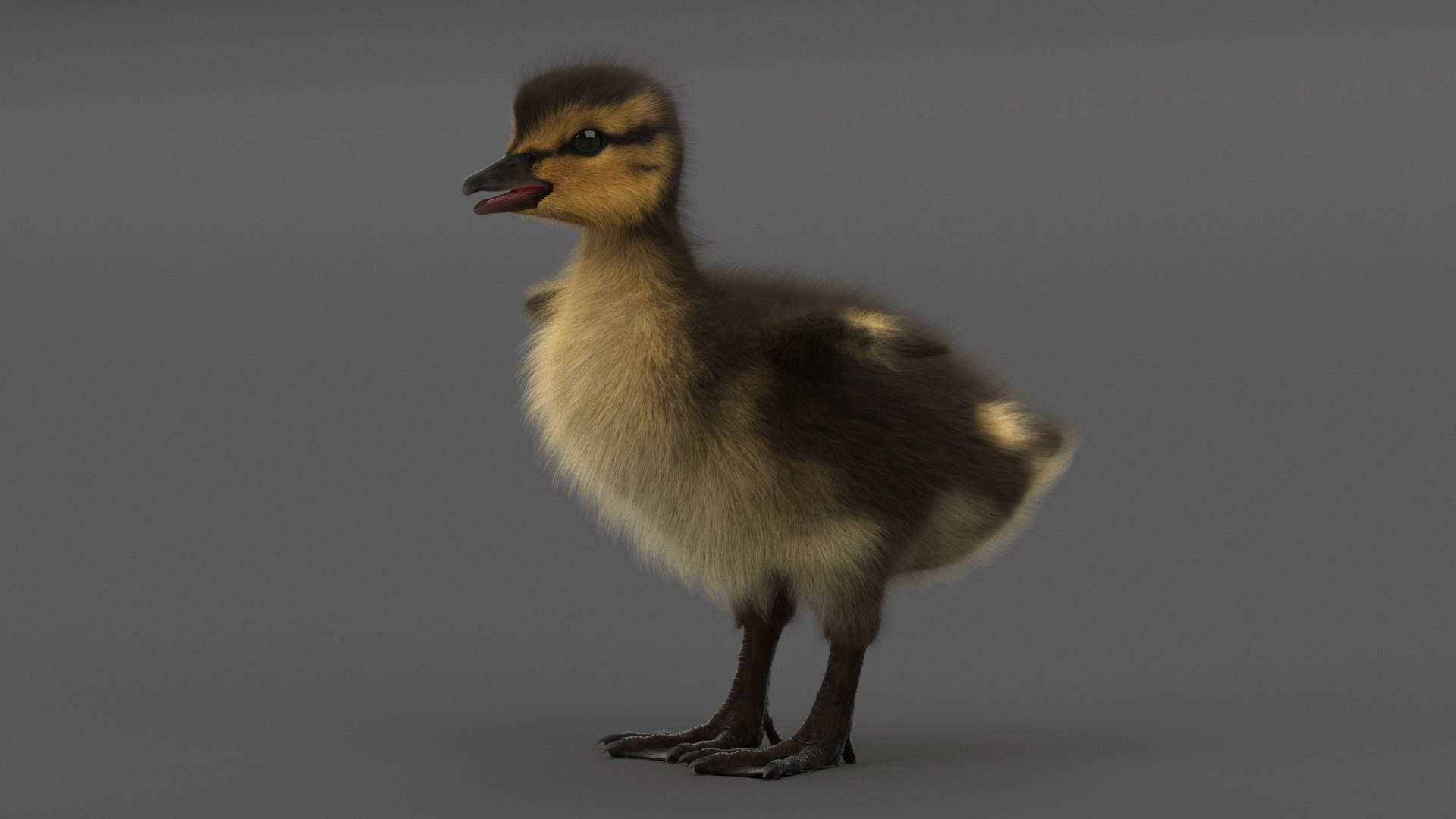 duckling duck 3D model https://p.turbosquid.com/ts-thumb/5k/WyD1Jg/ZU9prnfL/2/png/1579809511/1920x1080/fit_q87/1364add883aae57a95c4c0099ce3d7c2353c19ca/2.jpg