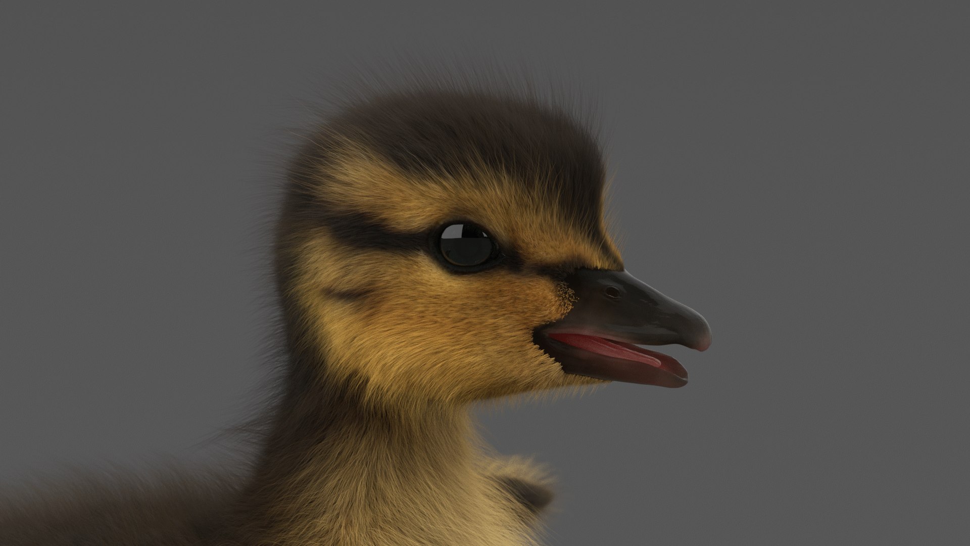 duckling duck 3D model https://p.turbosquid.com/ts-thumb/5k/WyD1Jg/ZlyPNcrn/7/png/1579809535/1920x1080/fit_q87/b9229d833dc29b44007a974c68ac89c985e8b0d6/7.jpg