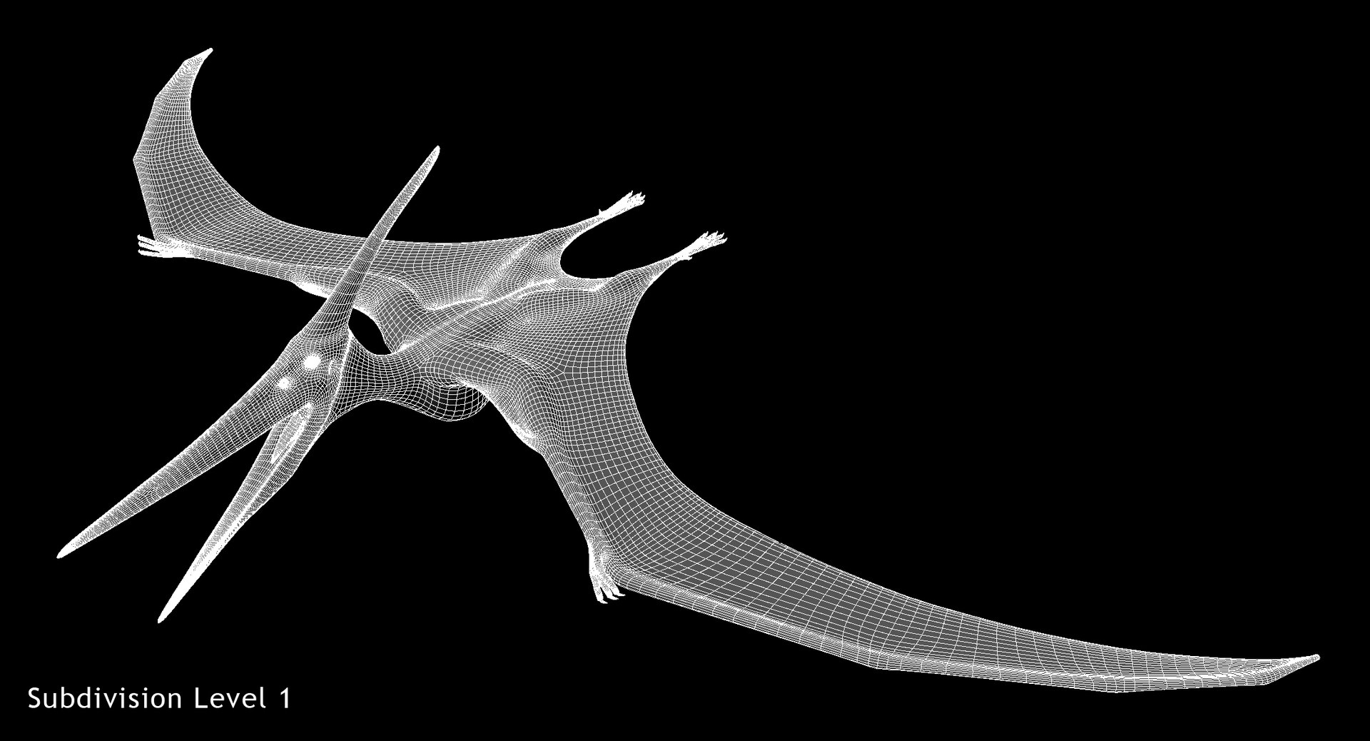 3D model pteranodon longiceps gray animation flying https://p.turbosquid.com/ts-thumb/5k/dJHop6/AMr9yBHu/w02/jpg/1584126084/1920x1080/fit_q87/2872d672df40b0400af00399e801d860247bc8ca/w02.jpg