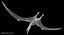 Pteranodon Longiceps Gray Animated