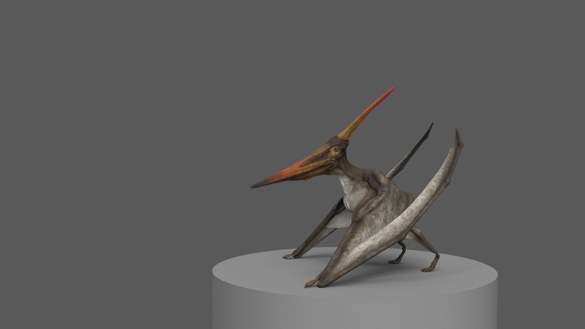 3D model pteranodon longiceps gray animation flying https://p.turbosquid.com/ts-thumb/5k/dJHop6/KmNGj5rK/a_lct3/jpg/1584103844/1920x1080/turn_fit_q99/82c37aadd41e1b19c670606254c017144a4808a6/a_lct3-1.jpg