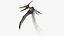 Pteranodon Longiceps Gray Animated