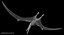 Pteranodon Longiceps Gray Animated