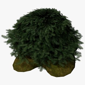 3D Scan Based Nested Spruce - PBR