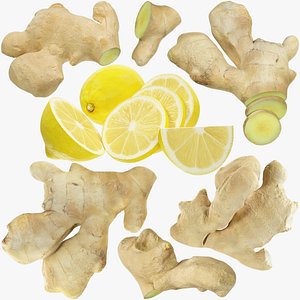 Ginger and Lemon Collection V7 3D model