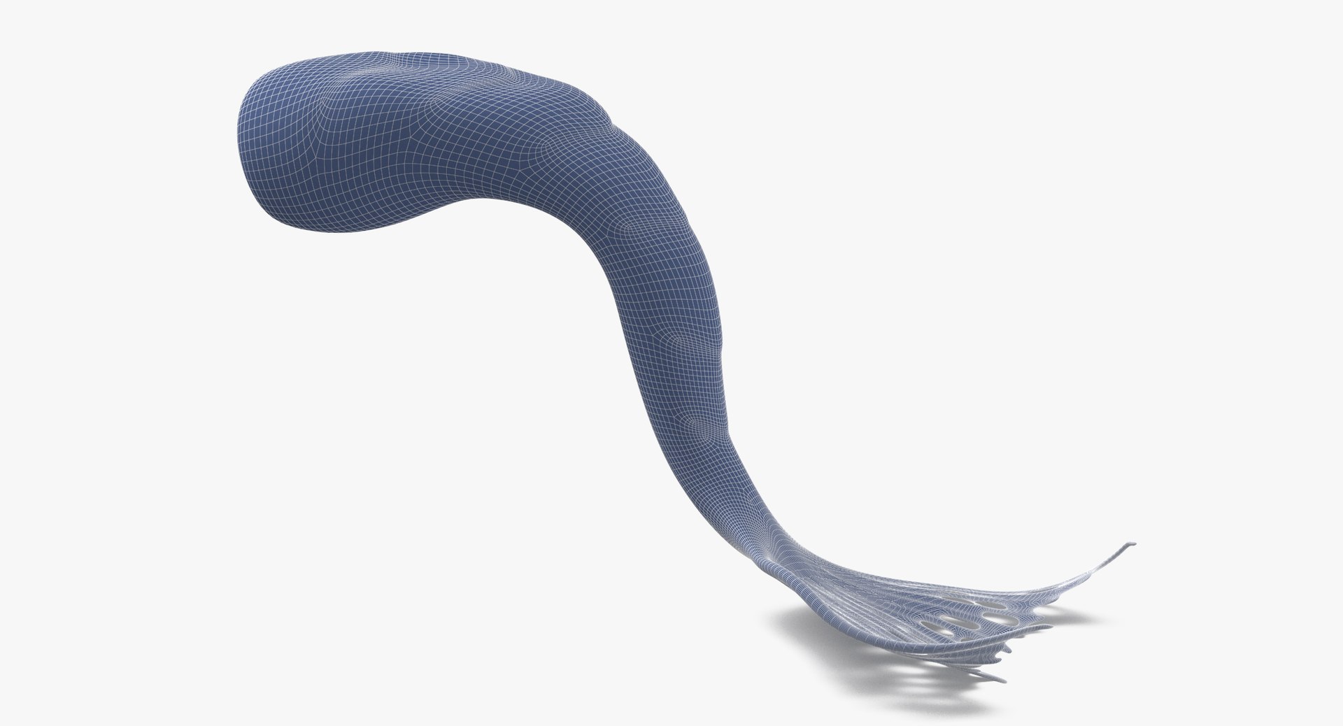 mermaid tails 03 3D model https://p.turbosquid.com/ts-thumb/5l/6UoU0v/5U/mermaid_tail_laying_wireframe_01_0005/jpg/1717593326/1920x1080/fit_q87/d8db63c2cf03685133c6e5055477ab0e009b921e/mermaid_tail_laying_wireframe_01_0005.jpg
