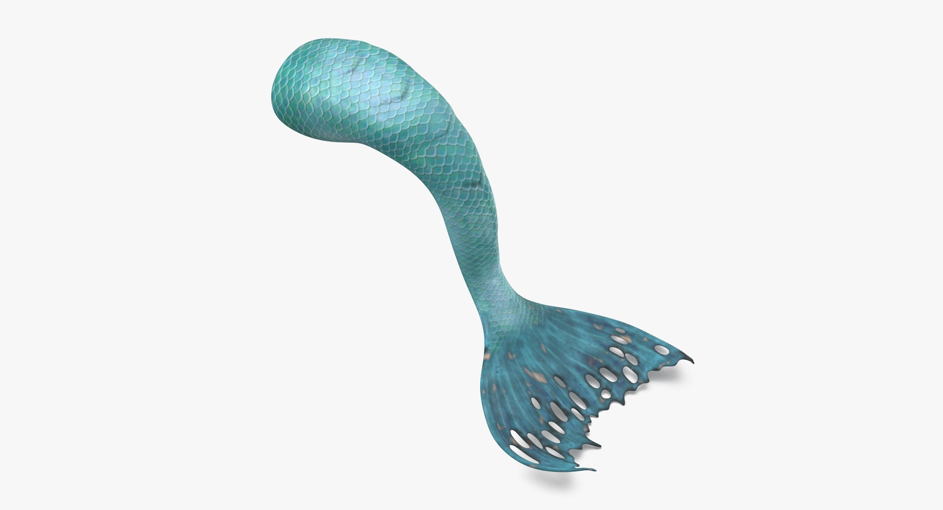 mermaid tails 03 3D model https://p.turbosquid.com/ts-thumb/5l/6UoU0v/AL/mermaid_tail_laying_thumbnail_0001/jpg/1717593325/1920x1080/fit_q87/8f82fb136cc88ef46265178e9efc397e60af2a60/mermaid_tail_laying_thumbnail_0001.jpg