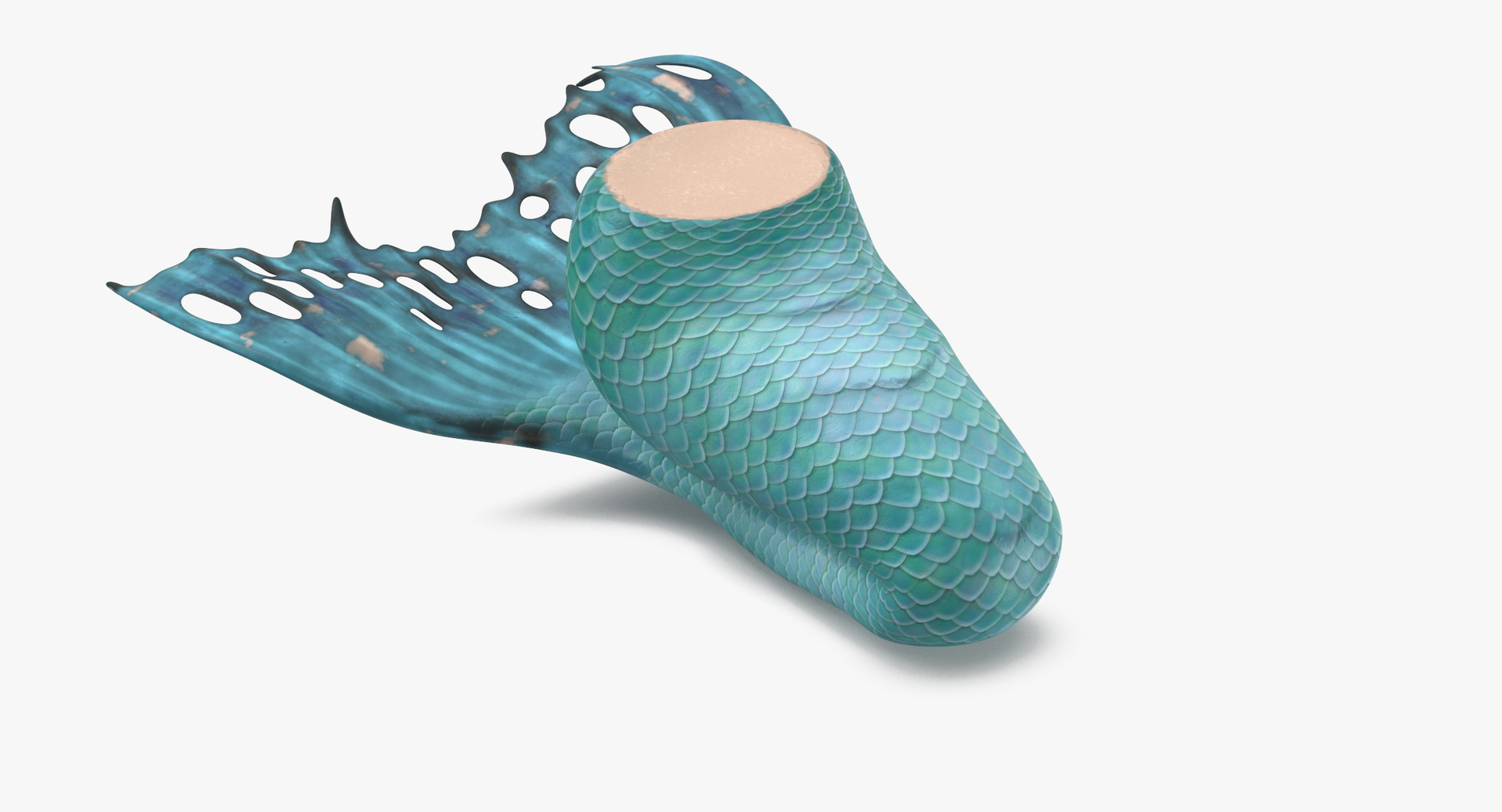 mermaid tails 03 3D model https://p.turbosquid.com/ts-thumb/5l/6UoU0v/FP/z0000/jpg/1717597834/1920x1080/turn_fit_q99/537fbe2558e62953eef574be18651f762726425f/z0000-1.jpg