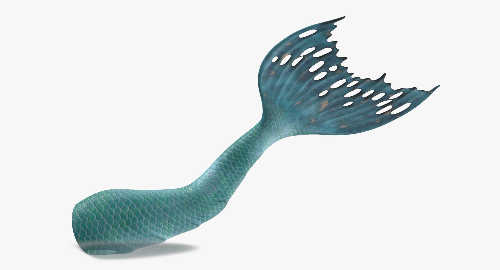 mermaid tails 03 3D model https://p.turbosquid.com/ts-thumb/5l/6UoU0v/Tb/mermaid_tail_swimming_thumbnail_0006/jpg/1717593736/1920x1080/fit_q87/b15e05aebe198621464bd39bc6bbdcdb09cfdf82/mermaid_tail_swimming_thumbnail_0006.jpg