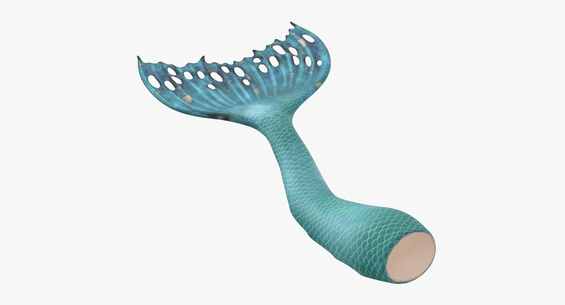 mermaid tails 03 3D model https://p.turbosquid.com/ts-thumb/5l/6UoU0v/pW/mermaid_tail_swimming_thumbnail_0001/jpg/1717593735/1920x1080/fit_q87/e2d41792a23828813e6fbc347782f512919e90b1/mermaid_tail_swimming_thumbnail_0001.jpg