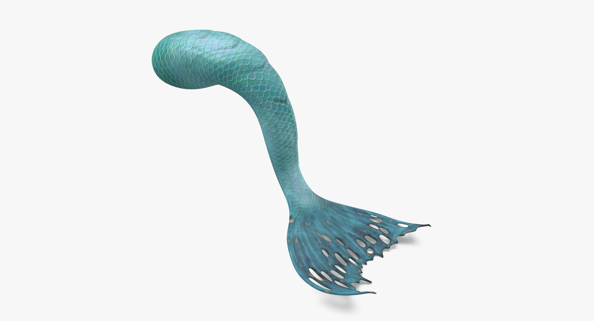 mermaid tails 03 3D model https://p.turbosquid.com/ts-thumb/5l/6UoU0v/uD/z0000/jpg/1717597287/1920x1080/turn_fit_q99/353e0f90a11f6525f6da60f94f6d5d73f4e65cb7/z0000-1.jpg