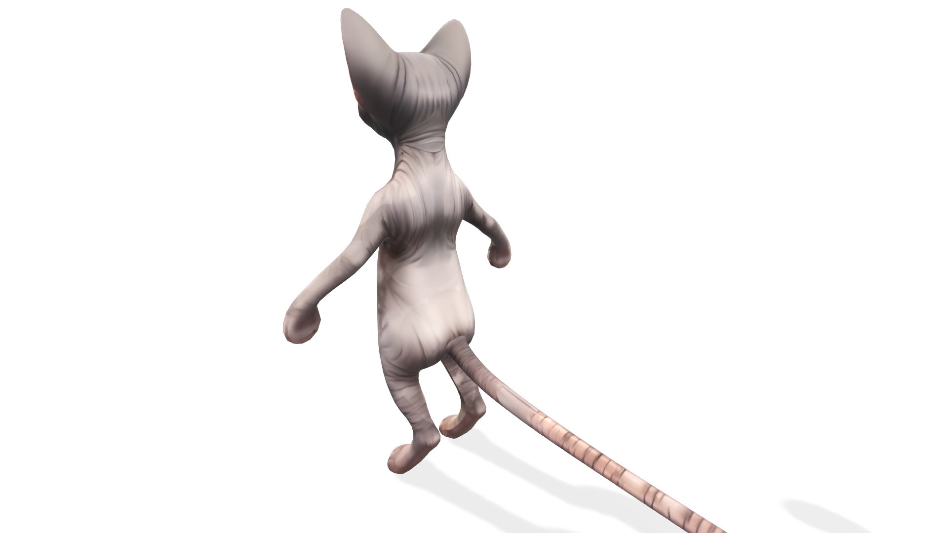 3D Zynx The Wrinkled Wanderer - TurboSquid 2296753