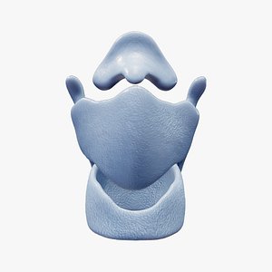 Dog Laryngeal Cartilages model