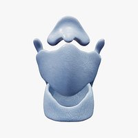 Dog Laryngeal Cartilages