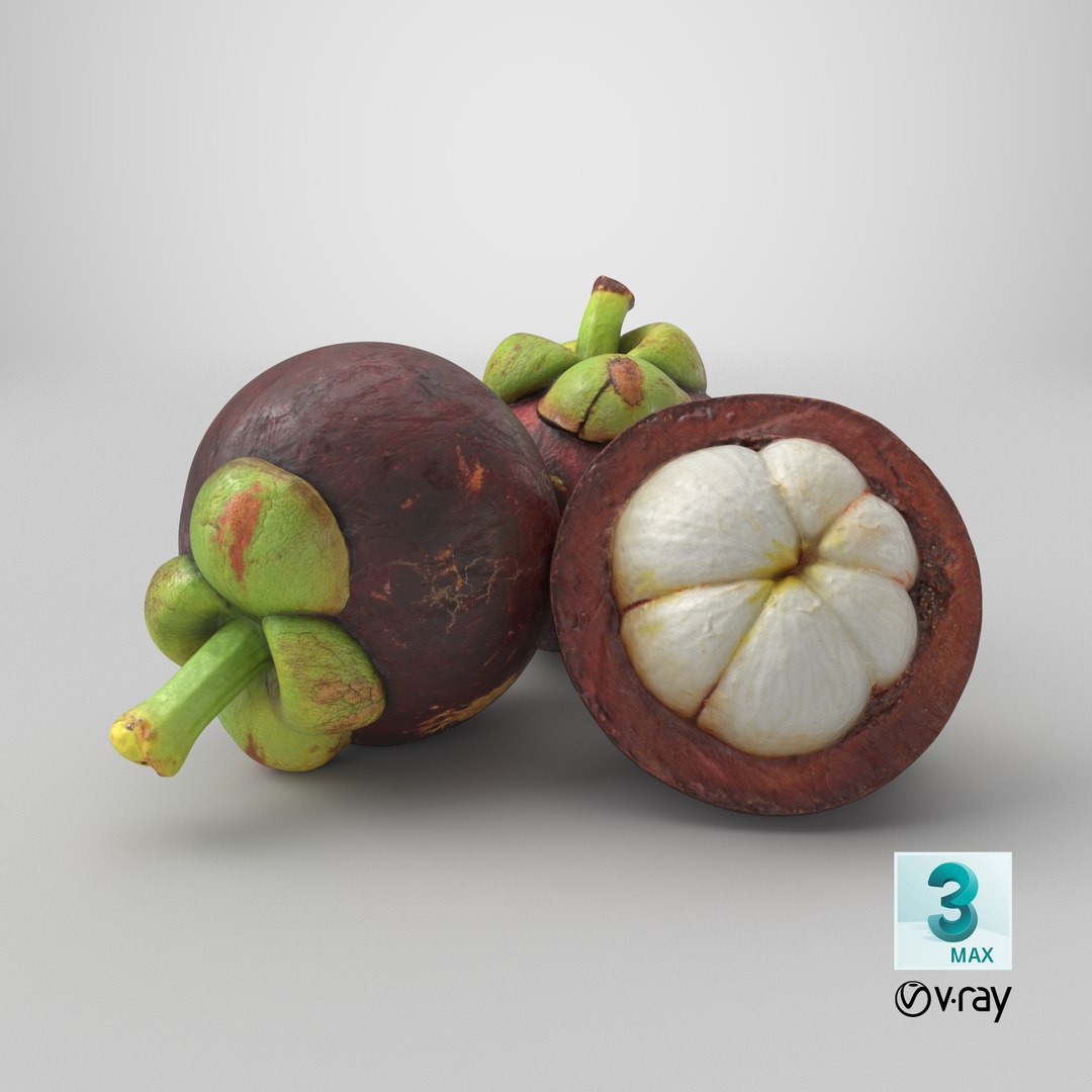 3D Mangosteen Fruit https://p.turbosquid.com/ts-thumb/5l/GTubwD/Ky/stemcell_max_vray_render/png/1766556587/1920x1080/fit_q87/e88bf86687de1145334d8c722117d962bee582ca/stemcell_max_vray_render.jpg