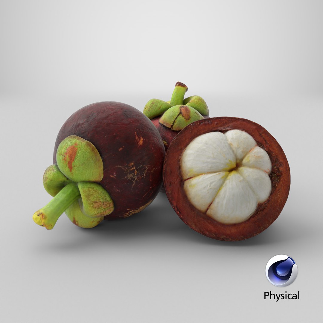 3D Mangosteen Fruit https://p.turbosquid.com/ts-thumb/5l/GTubwD/Nh/stemcell_cinema_4d_physical_render/png/1766556585/1920x1080/fit_q87/13e56a09420911be5fb7d6aead082e256de22e97/stemcell_cinema_4d_physical_render.jpg