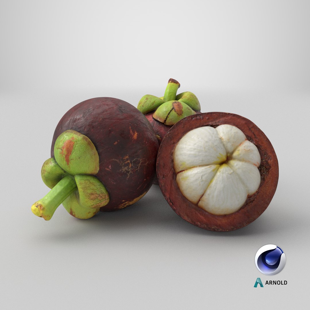 3D Mangosteen Fruit https://p.turbosquid.com/ts-thumb/5l/GTubwD/i0/stemcell_cinema_4d_arnold_render/png/1766556583/1920x1080/fit_q87/63868be4bdc92f6fde82d03dc9acd97ea19130fd/stemcell_cinema_4d_arnold_render.jpg