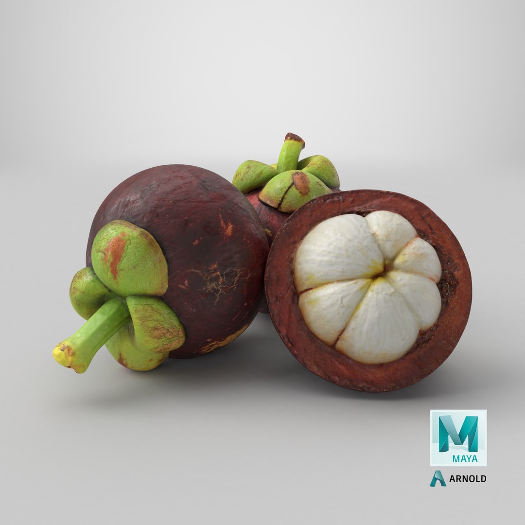 3D Mangosteen Fruit https://p.turbosquid.com/ts-thumb/5l/GTubwD/qQ/stemcell_maya_arnold_render/png/1766556580/1920x1080/fit_q87/32e497f279eb9a98a335aa5d4e0337e9b3c62922/stemcell_maya_arnold_render.jpg