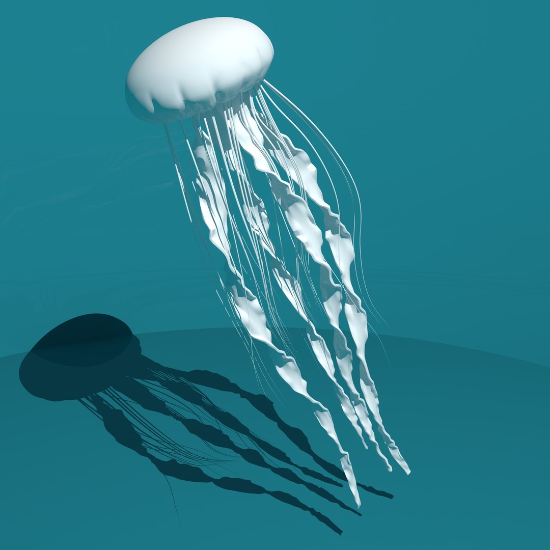 Jellyfish Model TurboSquid 1375887
