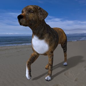3D model LAB-020 Dog Walking