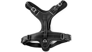 Dog Harness