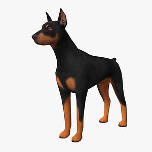 3D Doberman Models | TurboSquid