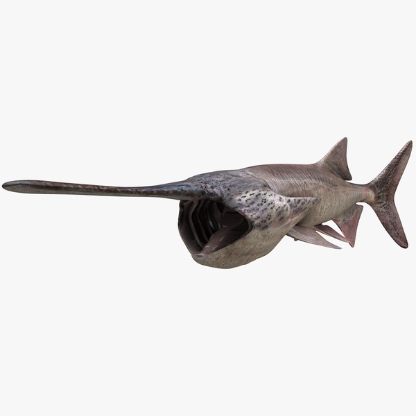 American Paddlefish