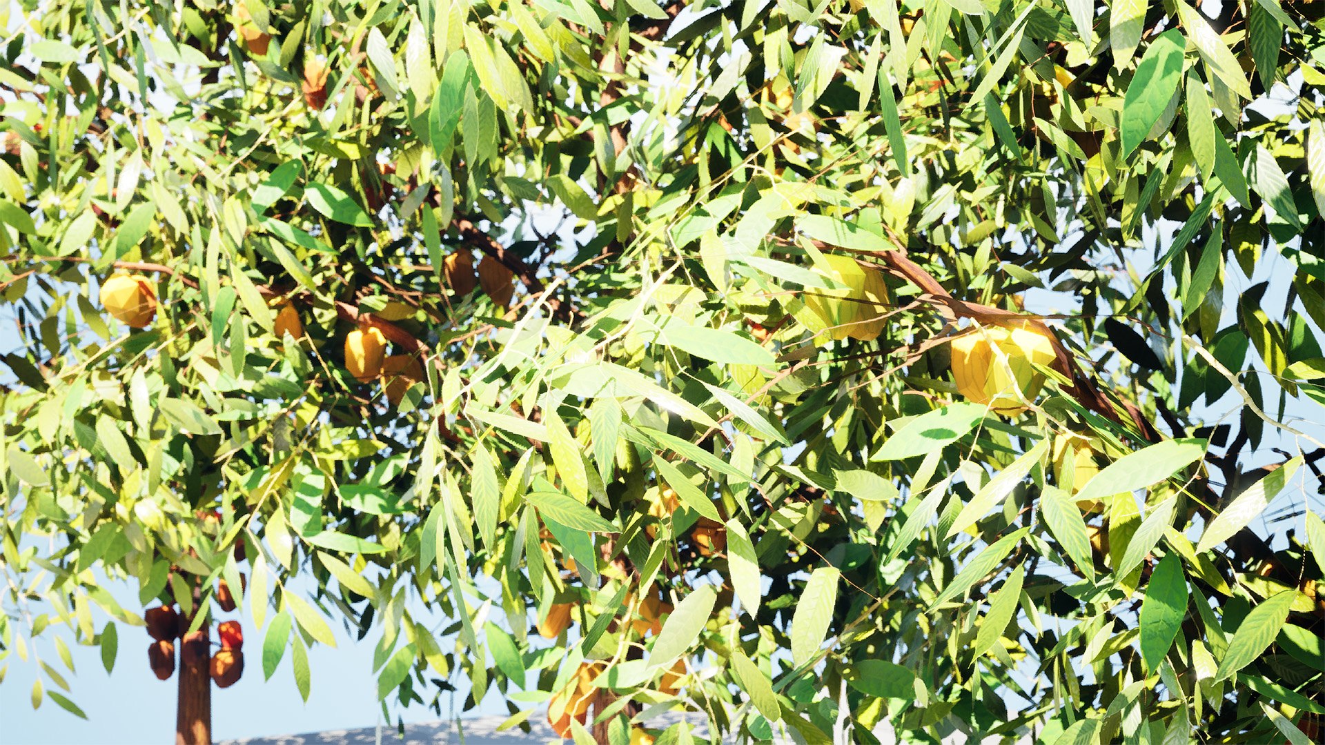 Highly Detailed Cacao Tree 3D Asset 3D model https://p.turbosquid.com/ts-thumb/5l/x48wBh/fb/highresscreenshot00002/jpg/1735082881/1920x1080/fit_q87/3c36ba5a22d4f2ca11aa41f1d3cda0552f54ce81/highresscreenshot00002.jpg