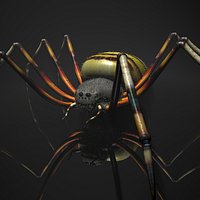 Spider Tiger Rigged