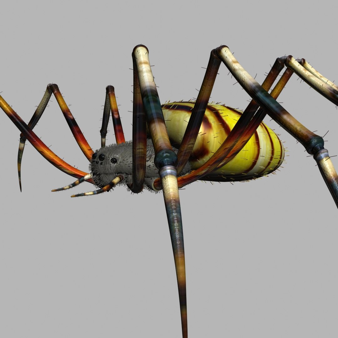 Rigged Spider 3d Max