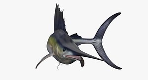 Sailfish Rigged